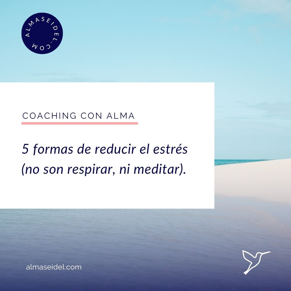5 formas de reducir el estrés - Coaching con Alma Seidel.