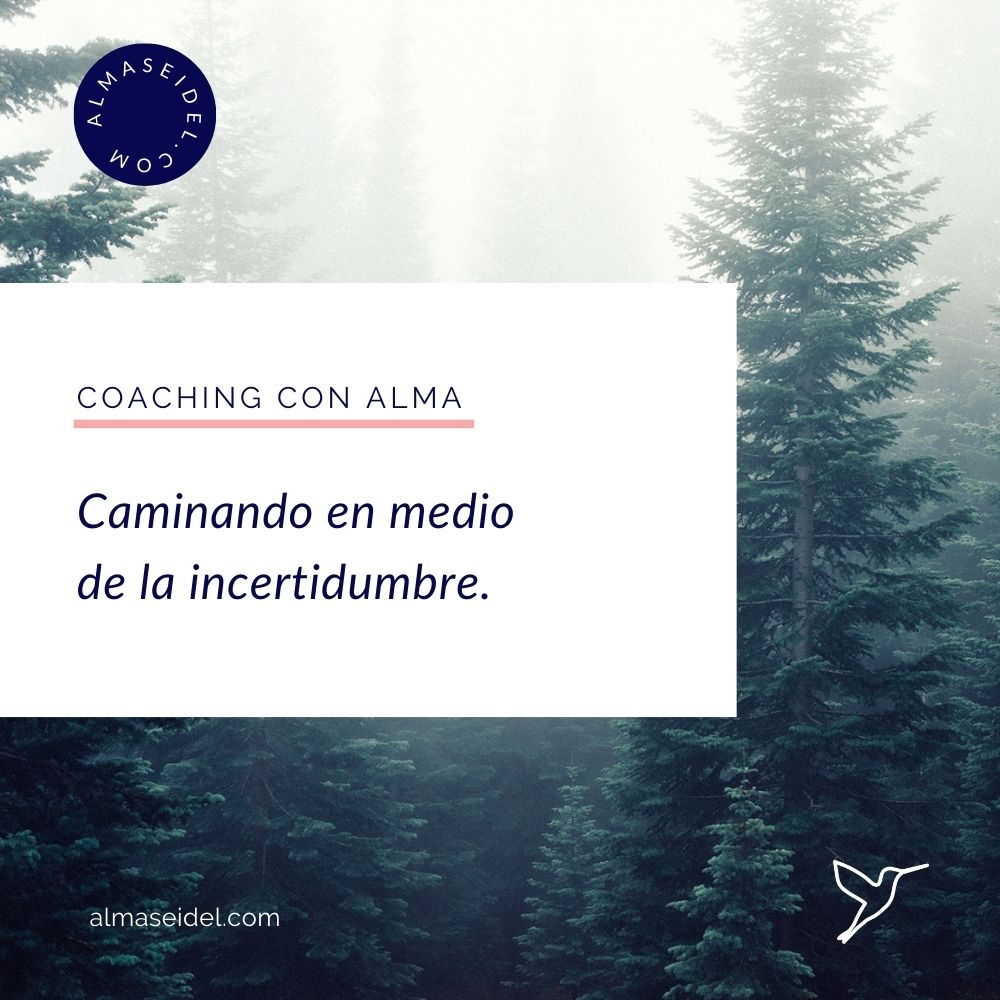 Caminando en medio de la incertidumbre. - Alma Seidel Coaching