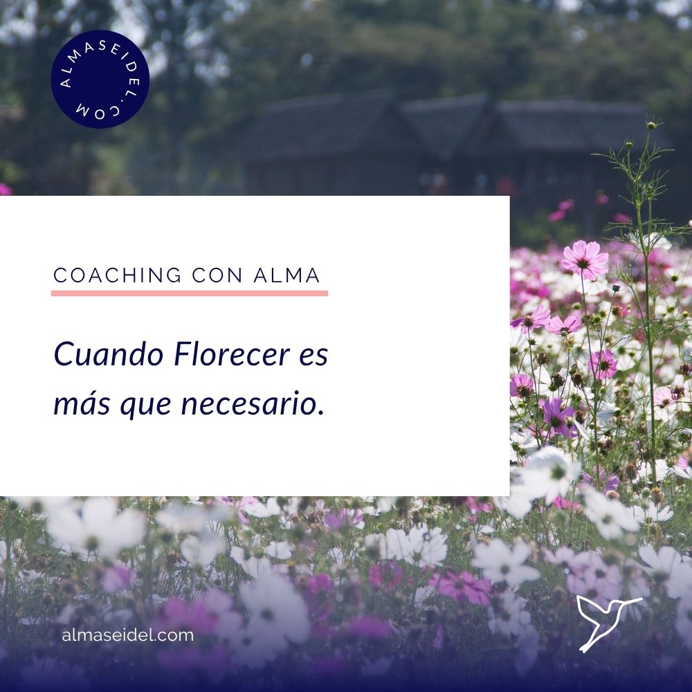 Cuando Florecer es más que necesario. Coaching con Alma Seidel