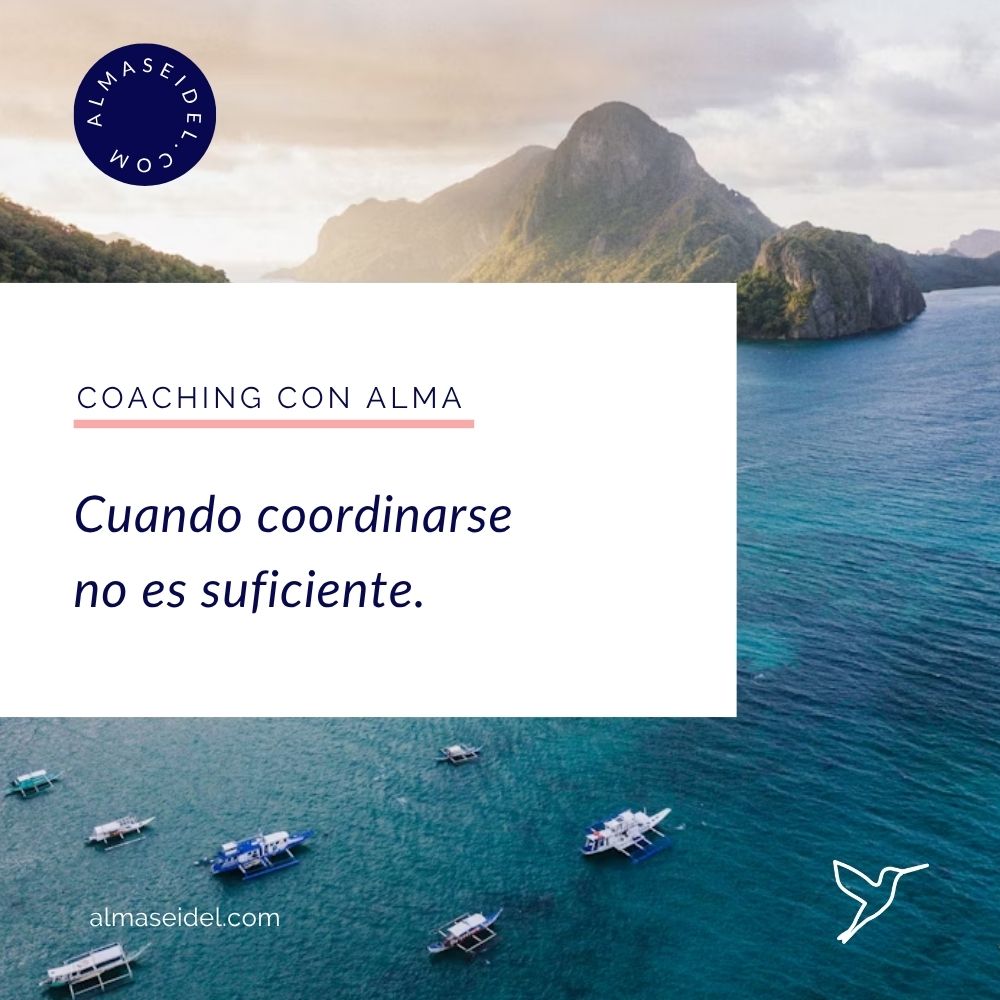 Cuando coordinarse no es suficiente. - Coaching de Equipos con Alma Seidel.