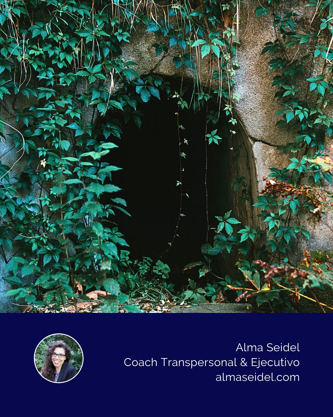 Cueva del Miedo - Alma Seidel - Coach Transpersonal