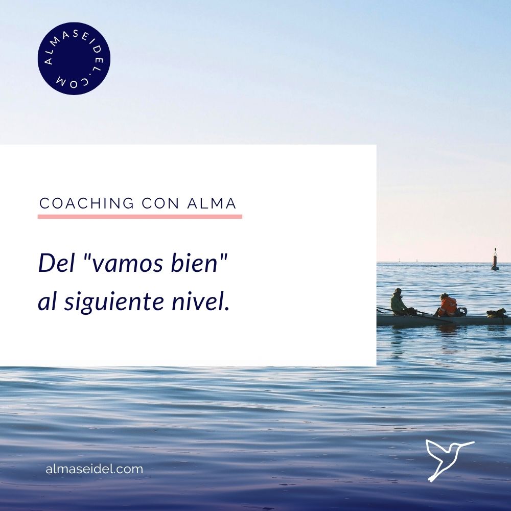 Del vamos bien al siguiente nivel - Coaching de Equipos con Alma Seidel.