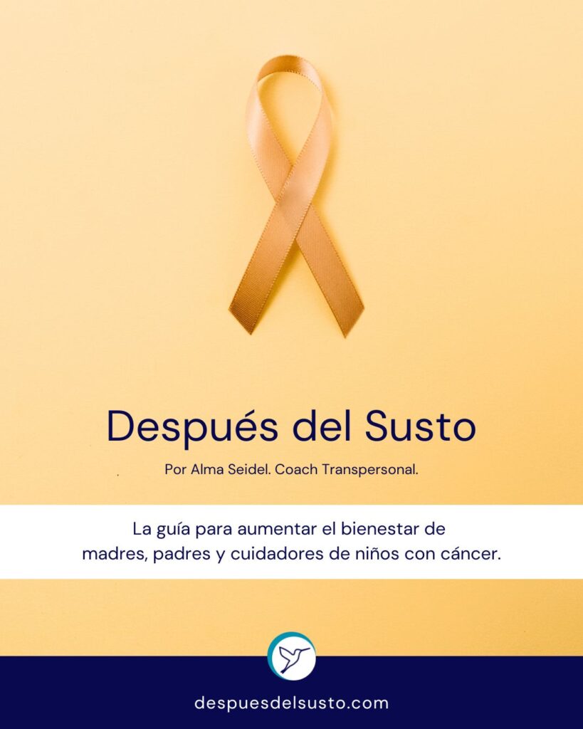 DESPUES DEL SUSTO - La guía para aumentar el bienestar de madres, padres y cuidadores de niños con cáncer - Alma Seidel