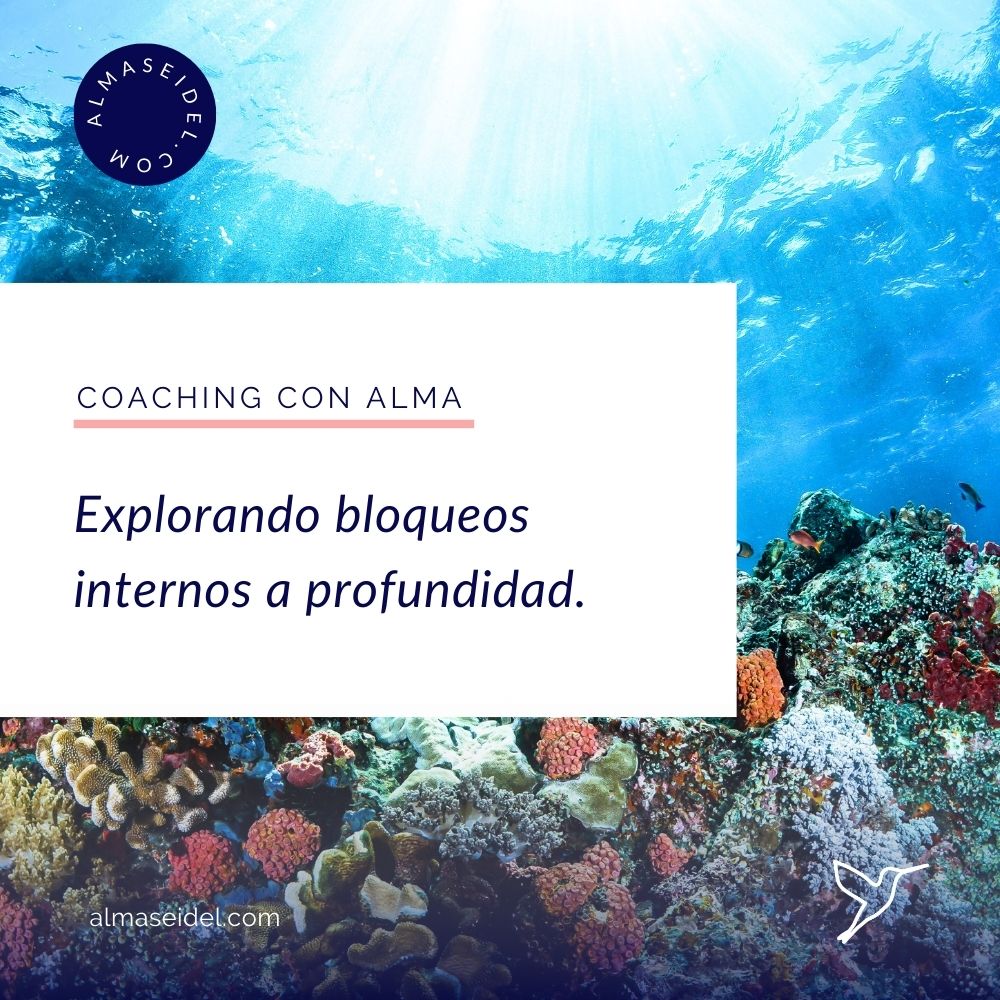Explorando bloqueos internos a profundidad. - Coaching con Alma Seidel.