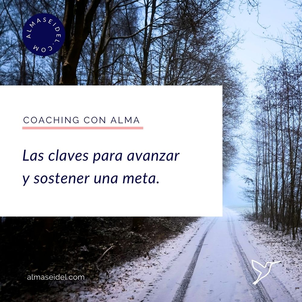 Las claves para avanzar y sostener una meta - Coaching de Equipos, Ejecutivo y Transpersonal con Alma Seidel