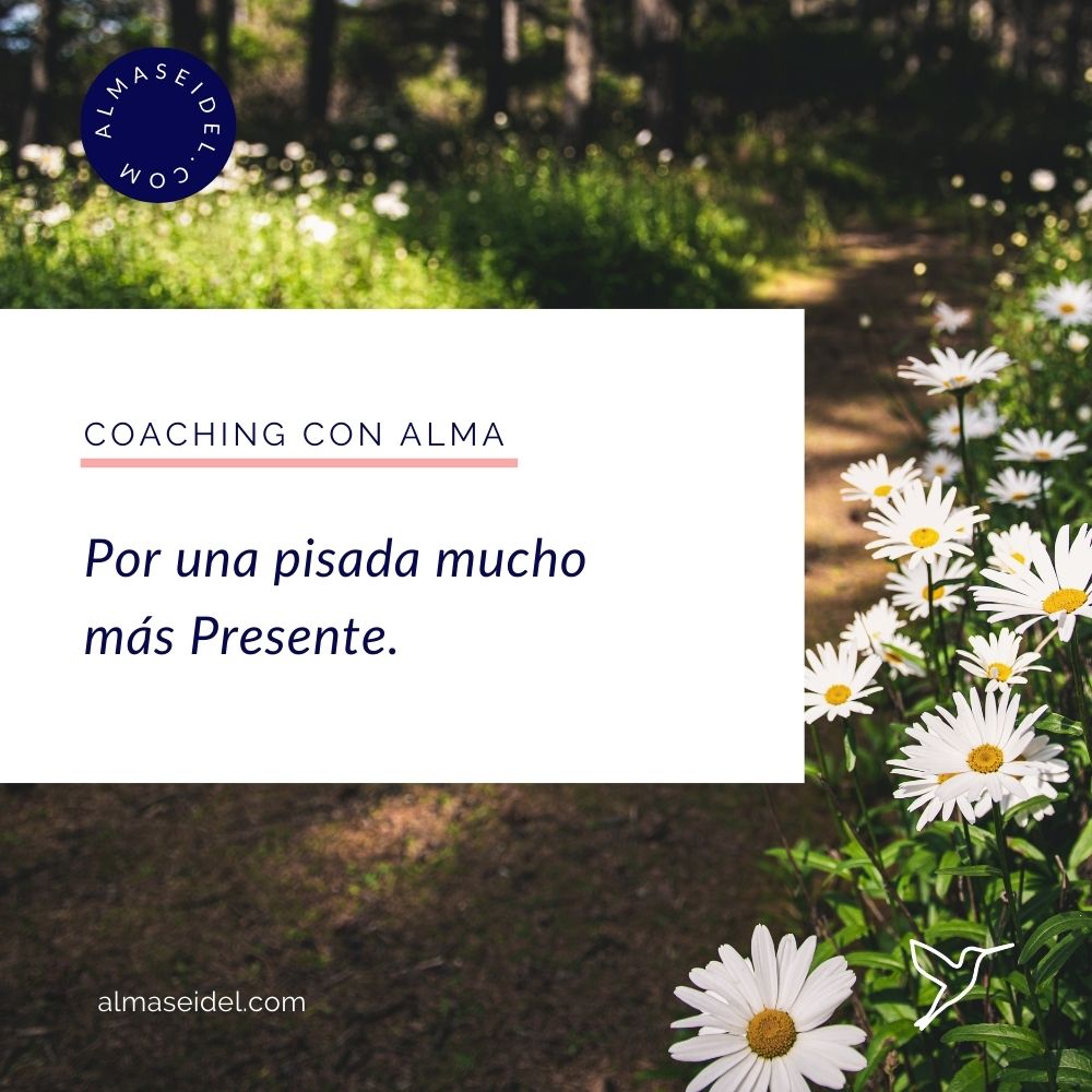 Por una pisada mucho más presente. Coaching con Alma Seidel.