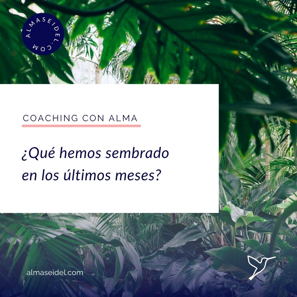 Que hemos sembrado en los ultimos meses- Coaching con Alma Seidel
