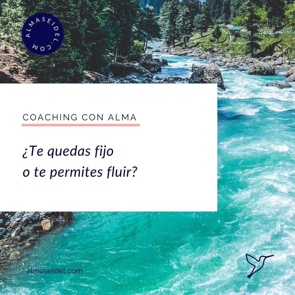 Te quedas fijo o te permites fluir. Coaching con Alma Seidel