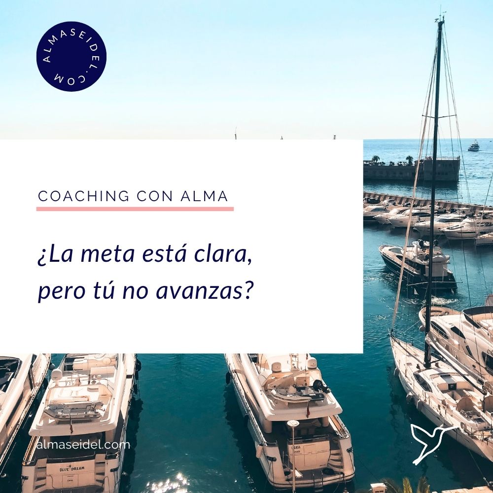 ¿La meta está clara, pero tú no avanzas - Coaching con Alma Seidel