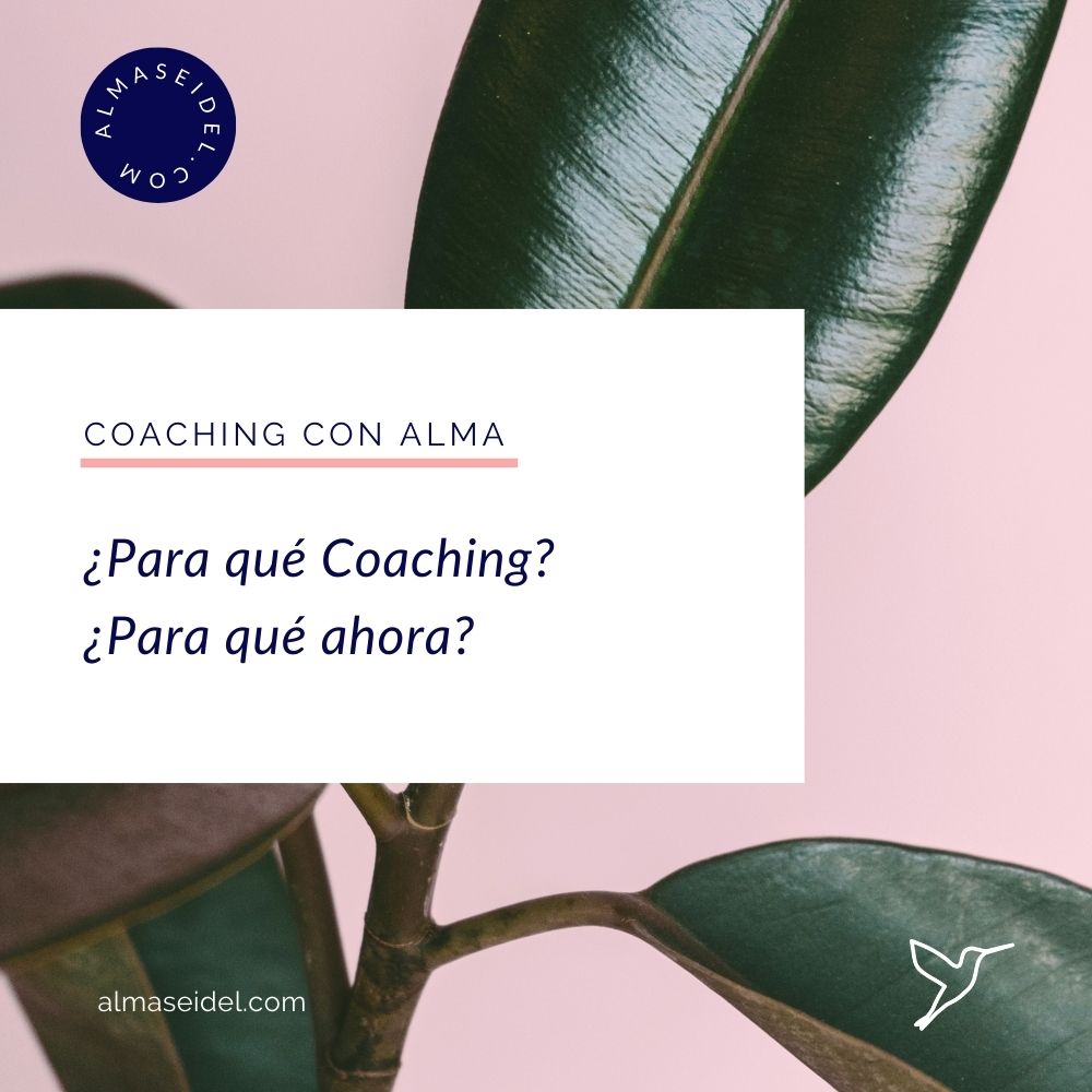 ¿Para qué Coaching ¿Para qué ahora - Coaching con Alma