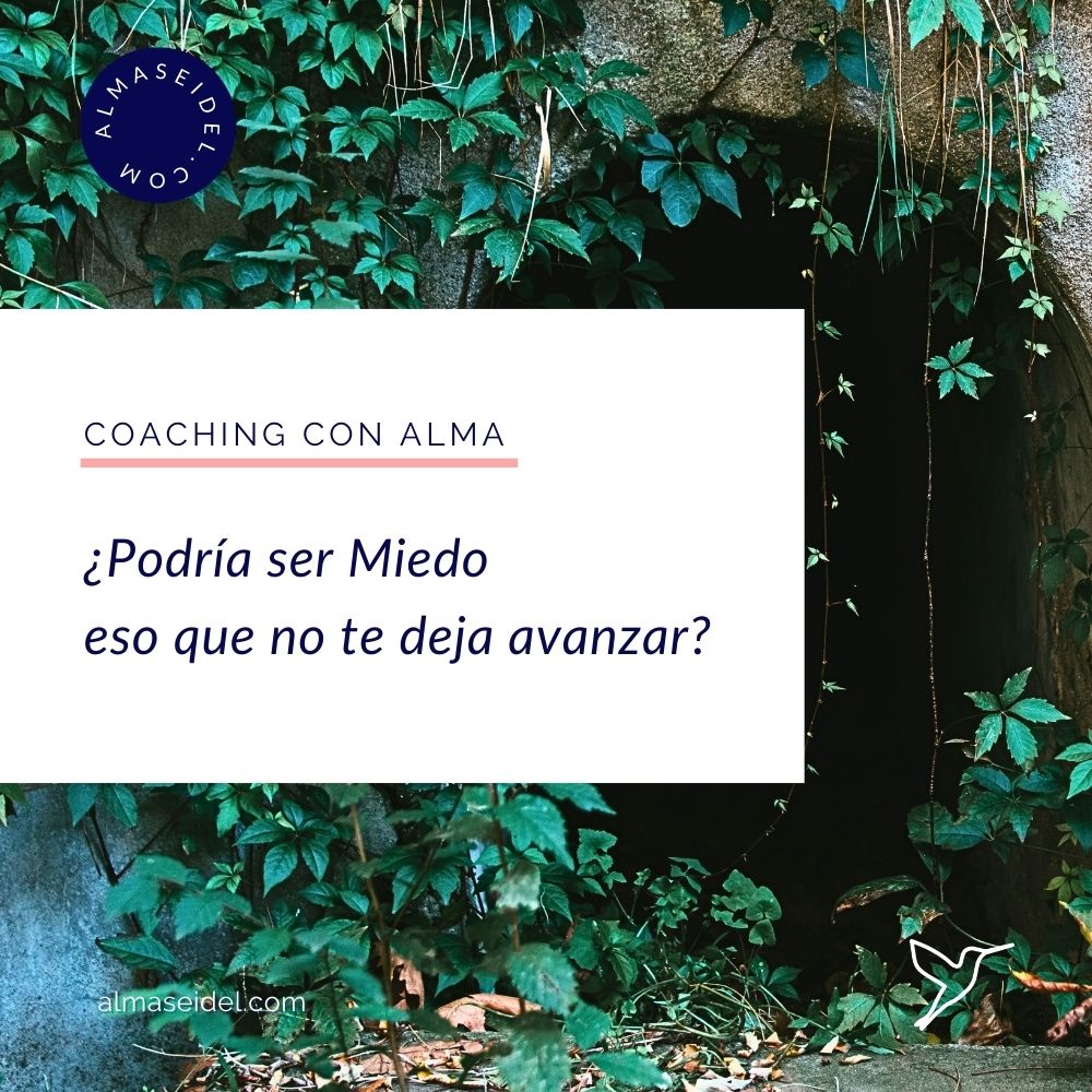 ¿Podría tal vez ser Miedo eso que te detiene. Coaching con Alma Seidel.